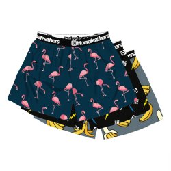 Trenýrky Horsefeathers FRAZIER 3PACK BOXER SHORTS (bundle 6)