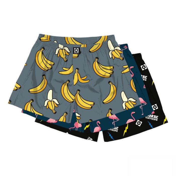 detail Trenýrky Horsefeathers MANNY 3PACK BOXER SHORTS (bundle 6)