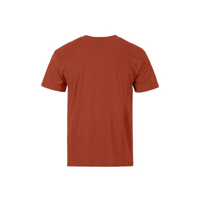 detail Pánské triko Horsefeathers DYNAMO T-SHIRT (ginger)