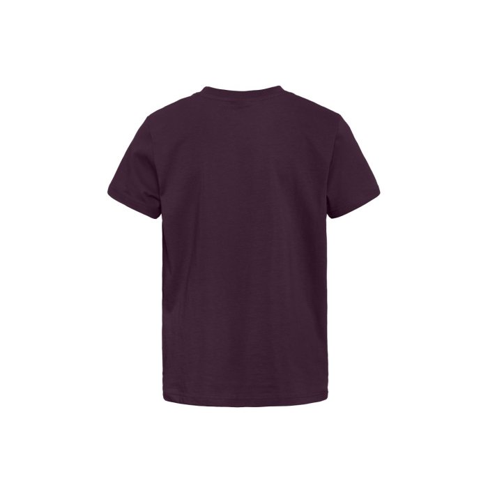 detail Dětské triko Horsefeathers BASE YOUTH T-SHIRT (blackberry)