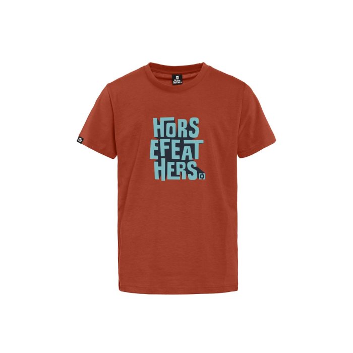 detail Dětské triko Horsefeathers ZOOM YOUTH T-SHIRT (ginger)