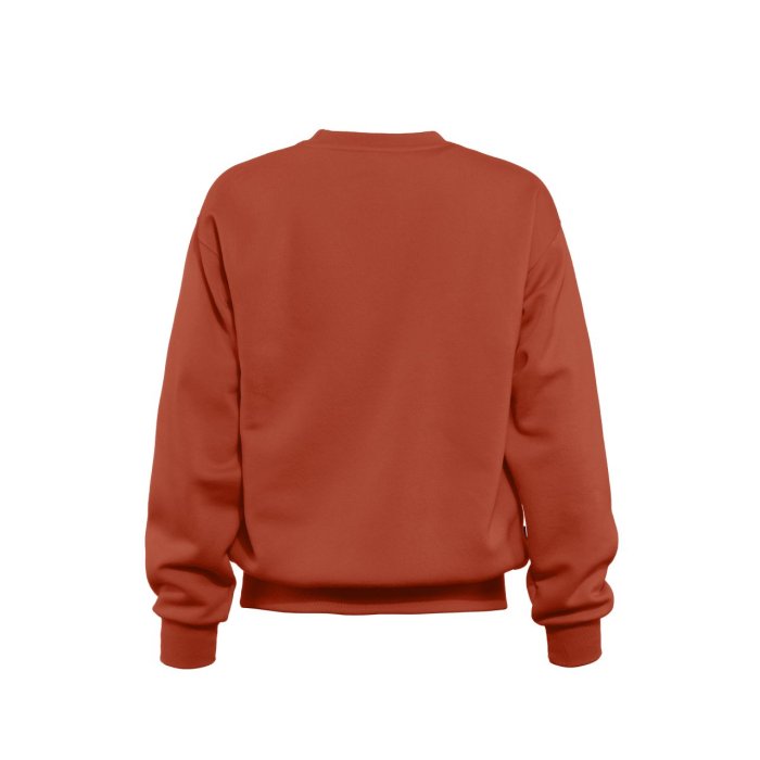 detail Dámská mikina Horsefeathers NALU SWEATSHIRT (ginger)