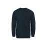 náhled Mikina Horsefeathers DUNK SWEATSHIRT (pond)